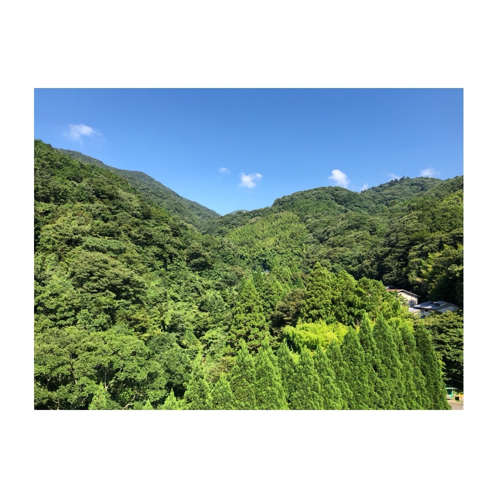 ルーチェ鶴川