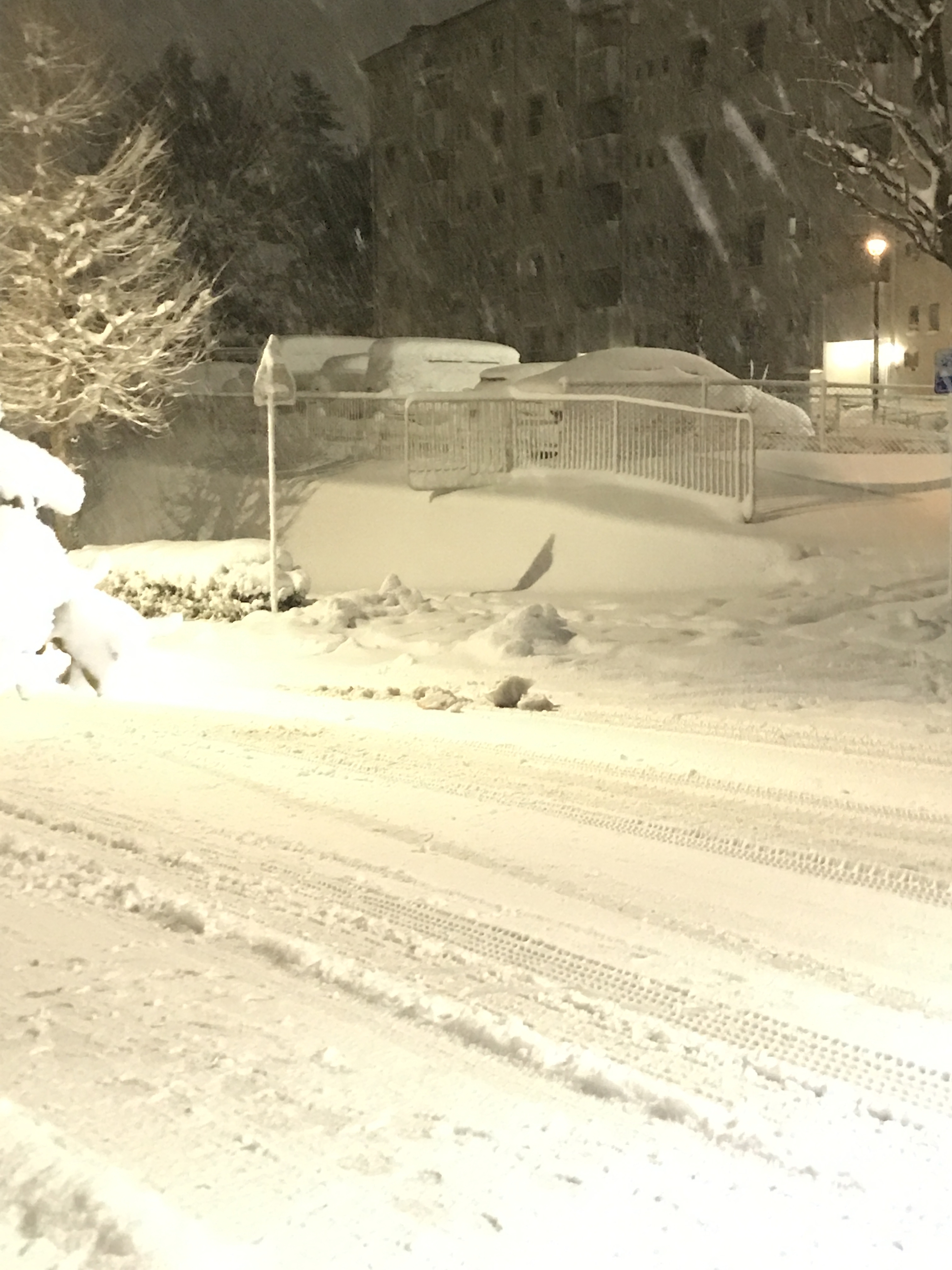 雪 美容室