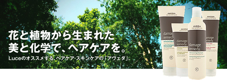 花と植物から生まれた美と化学で、ヘアケアを。Luceのオススメする、ヘアケア･スキンケアの「アヴェダ」。