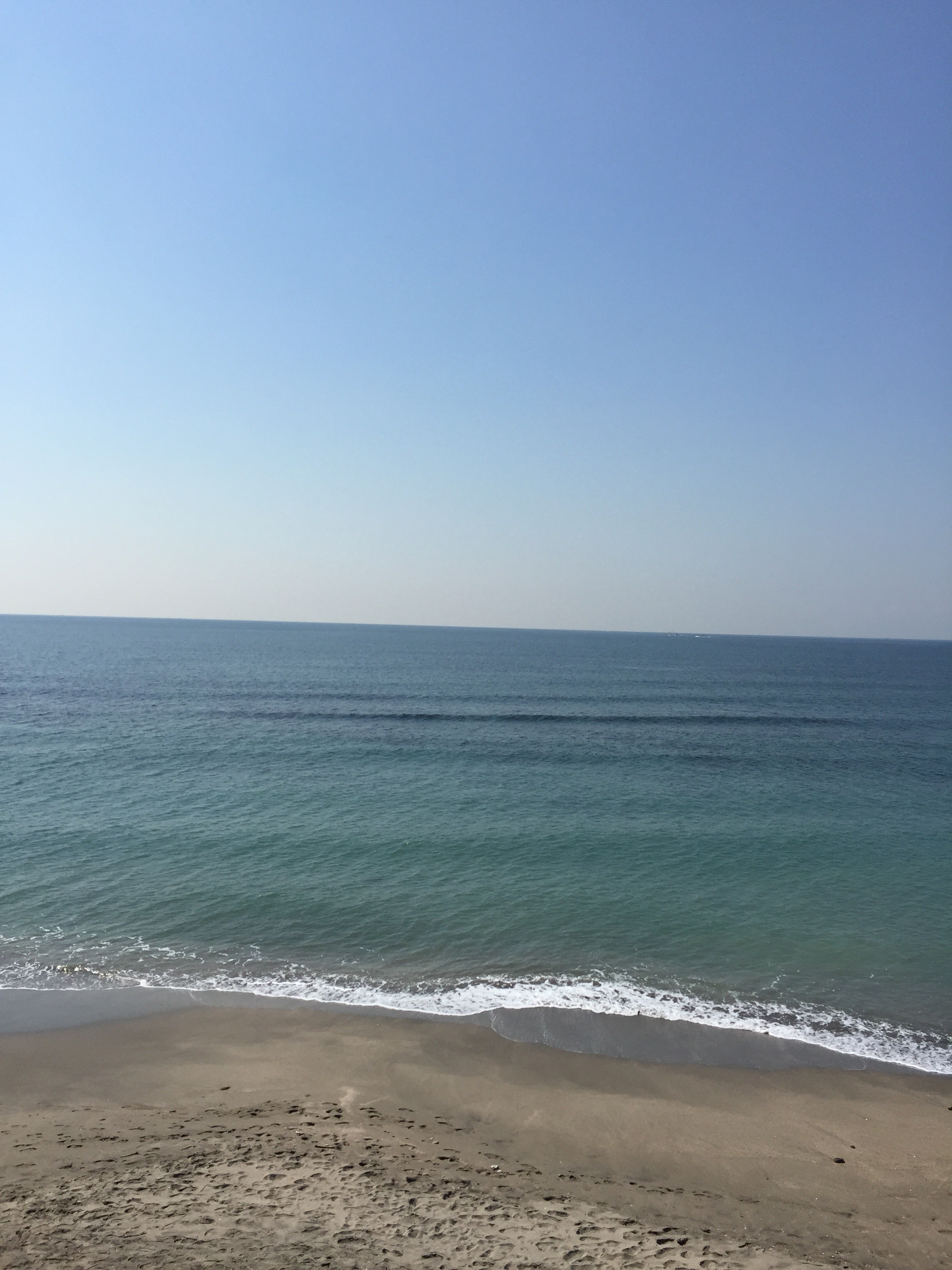海